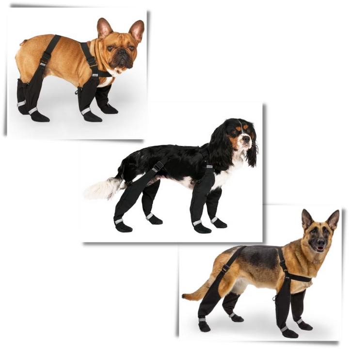 Wasserdichte Hundestiefel mit Hosenträgern
