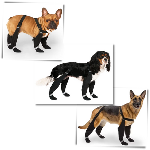 Wasserdichte Hundestiefel mit Hosenträgern