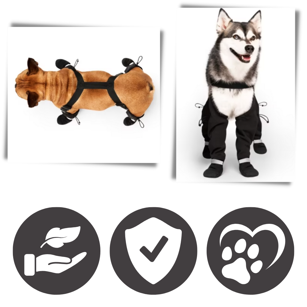 Wasserdichte Hundestiefel mit Hosenträgern