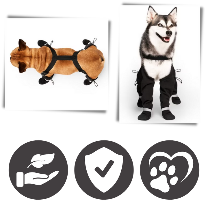Wasserdichte Hundestiefel mit Hosenträgern