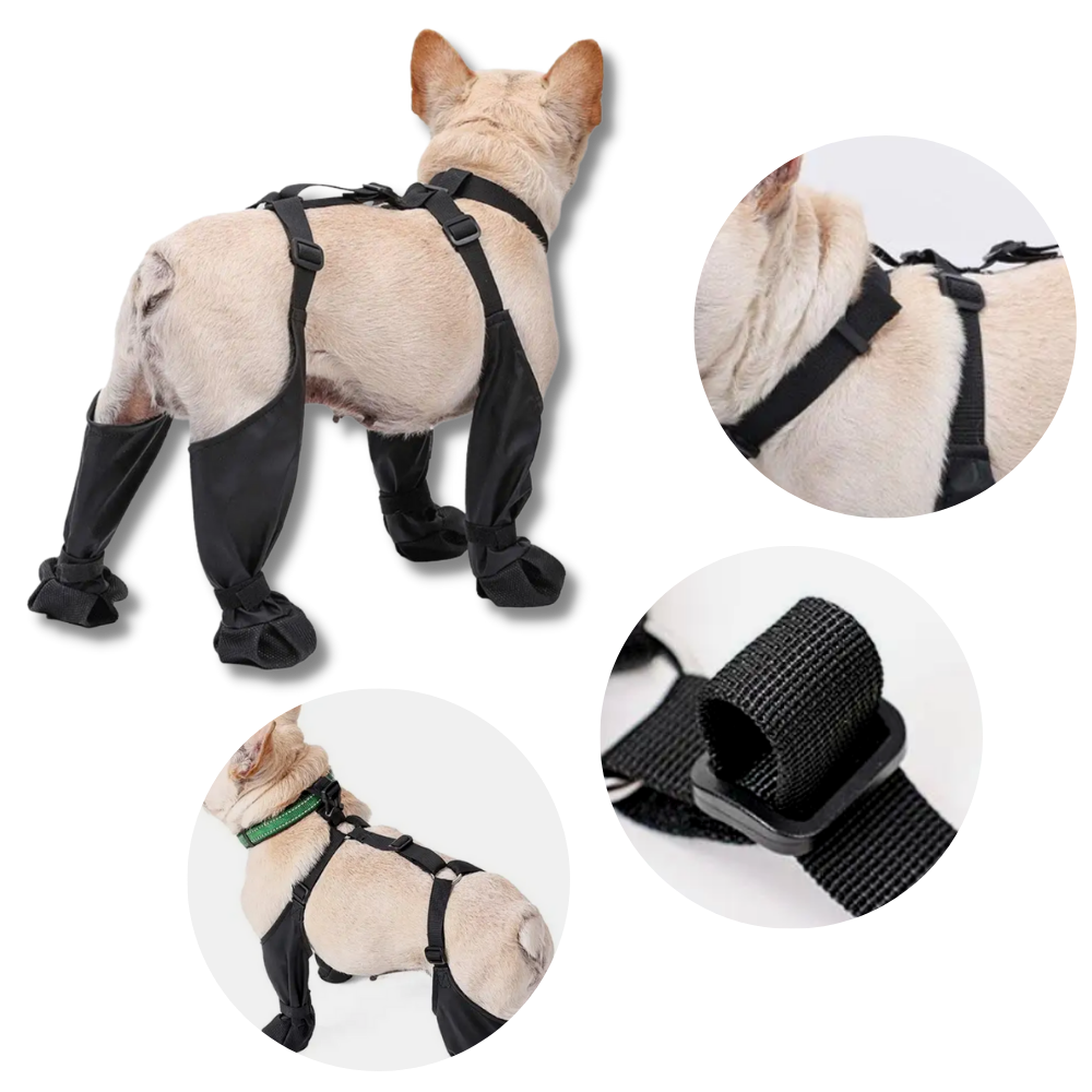 Wasserdichte Hundestiefel mit Hosenträgern