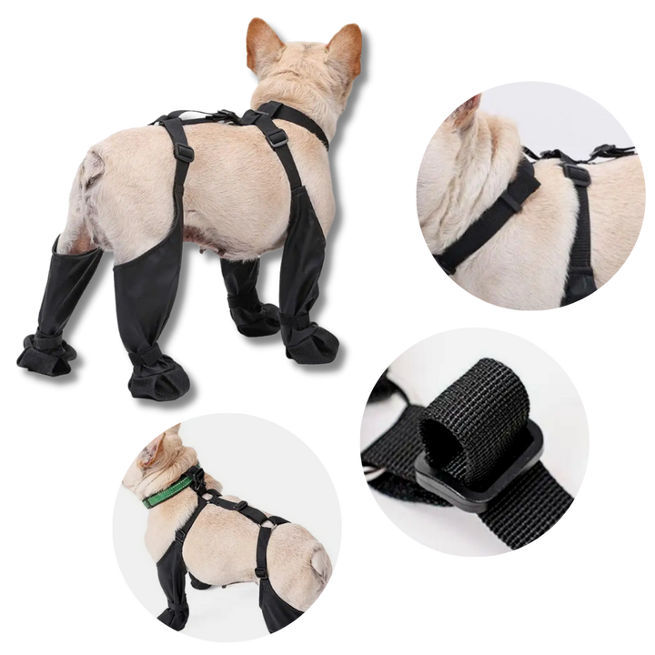 Wasserdichte Hundestiefel mit Hosenträgern