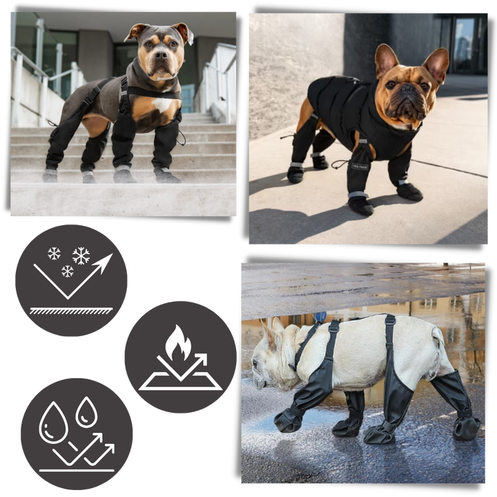 Wasserdichte Hundestiefel mit Hosenträgern