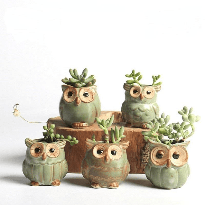 Skanto | Eulen-Keramik-Blumentopf-Set 5-teilig