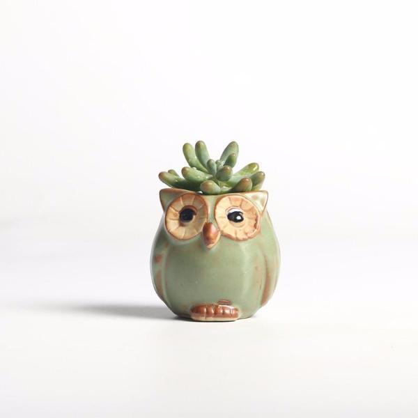 Skanto | Eulen-Keramik-Blumentopf-Set 5-teilig