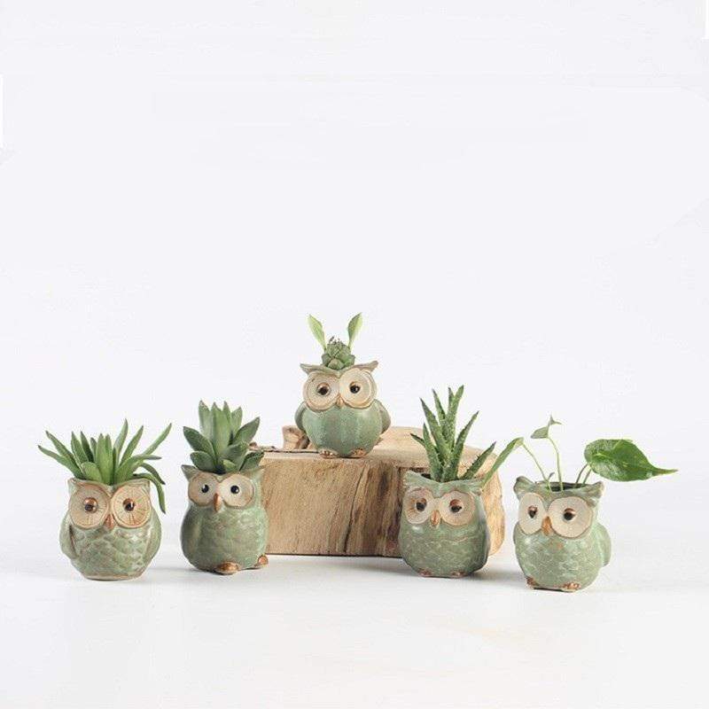 Skanto | Eulen-Keramik-Blumentopf-Set 5-teilig
